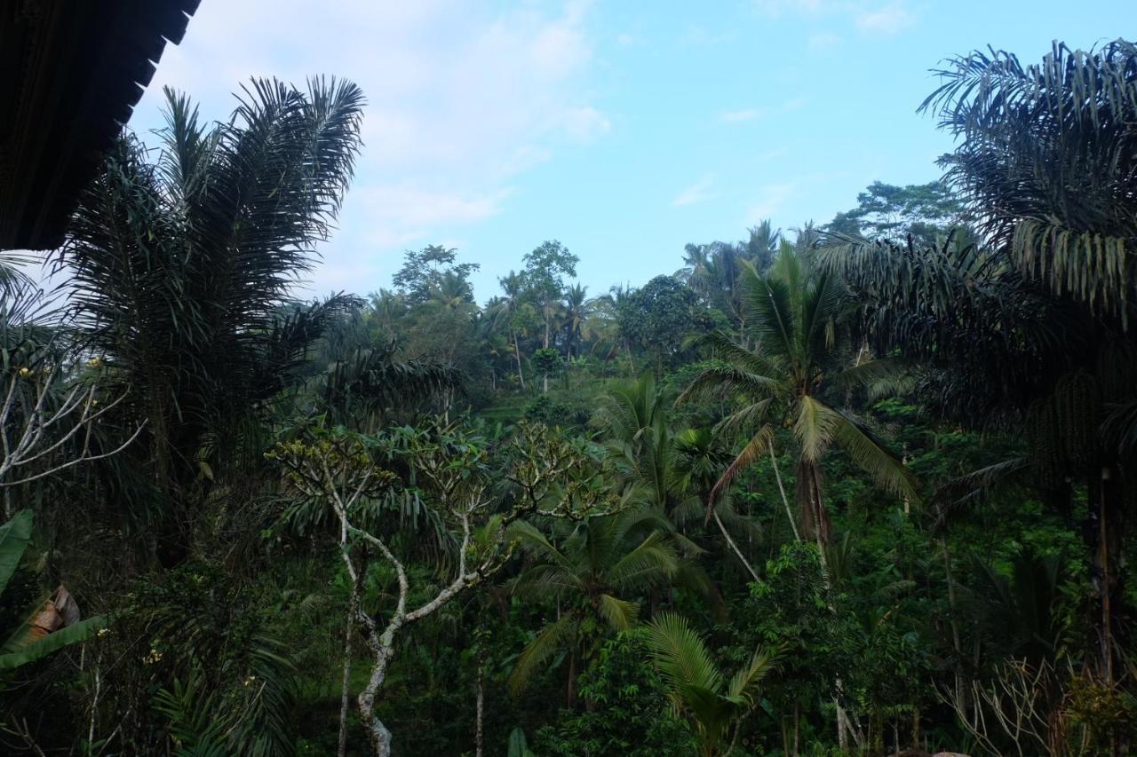 Gunung Kawi House Villa Tegallalang  Exterior foto