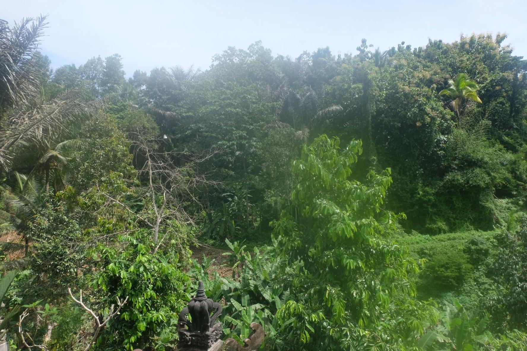 Gunung Kawi House Villa Tegallalang  Exterior foto