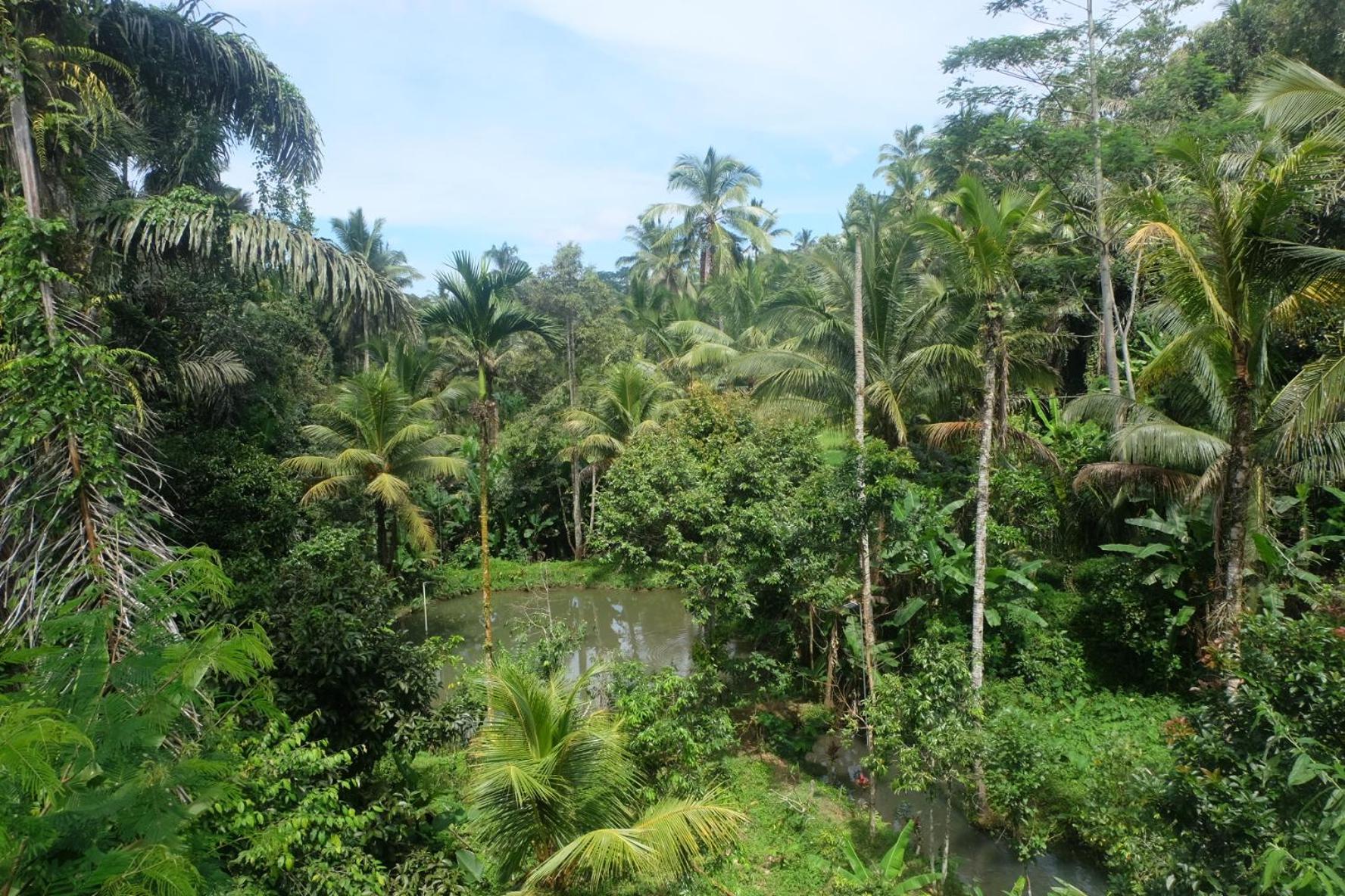 Gunung Kawi House Villa Tegallalang  Exterior foto