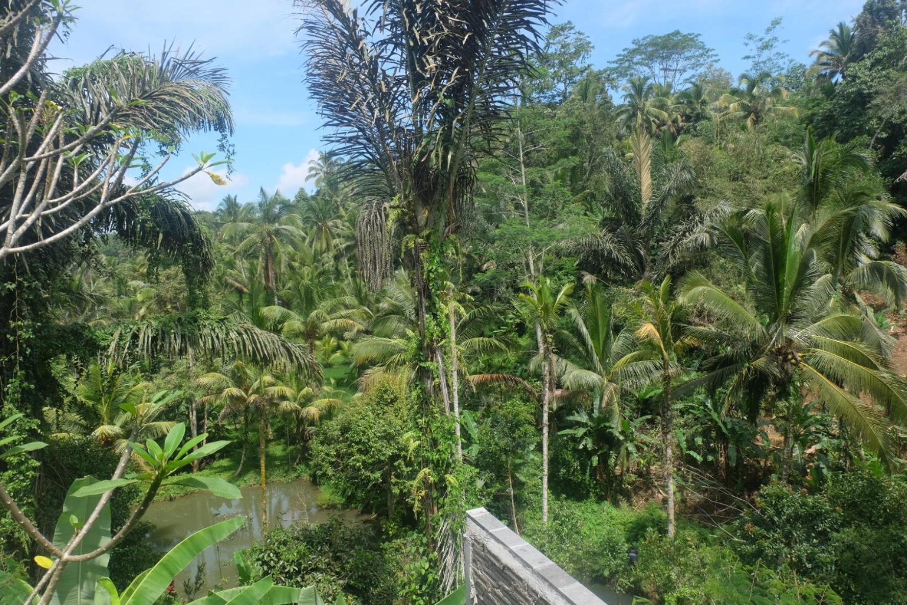 Gunung Kawi House Villa Tegallalang  Exterior foto