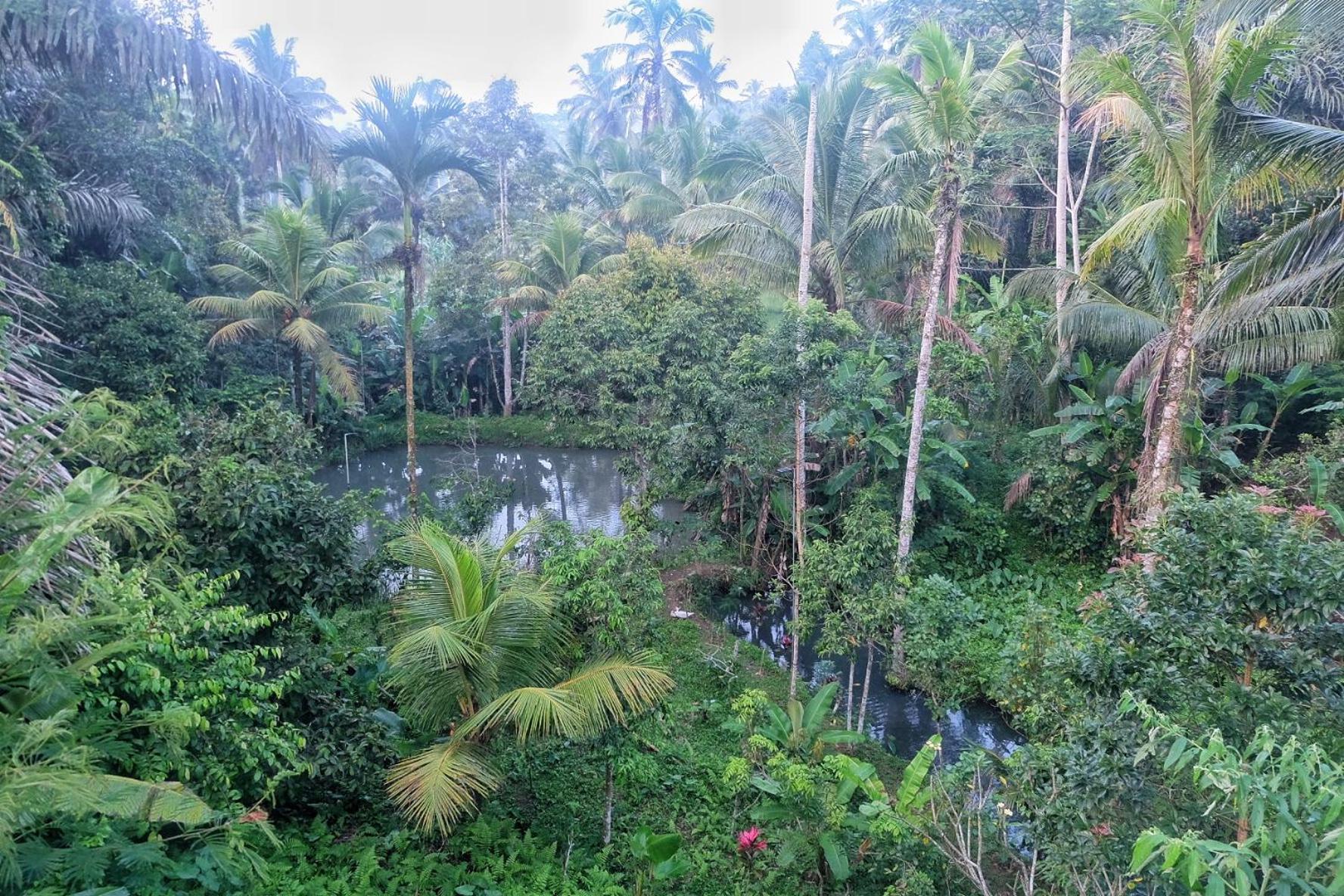 Gunung Kawi House Villa Tegallalang  Exterior foto